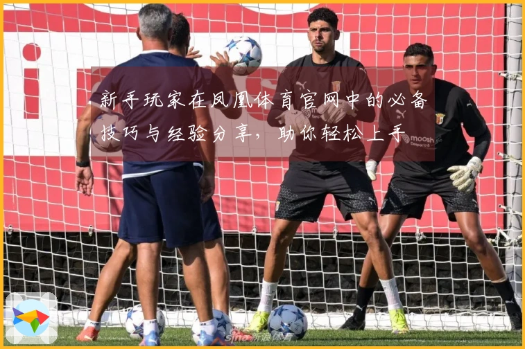 新手玩家在凤凰体育官网中的必备技巧与经验分享，助你轻松上手